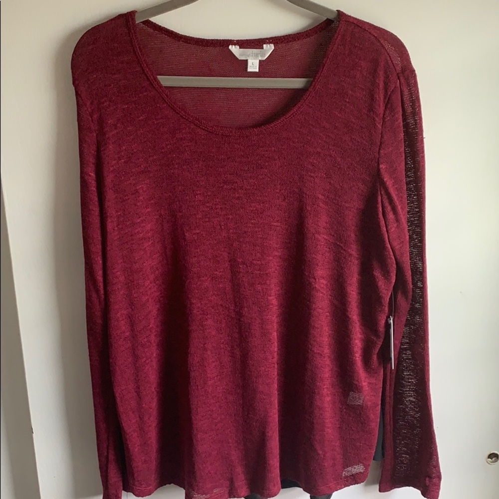 Charming Charlie Sheer Sweater